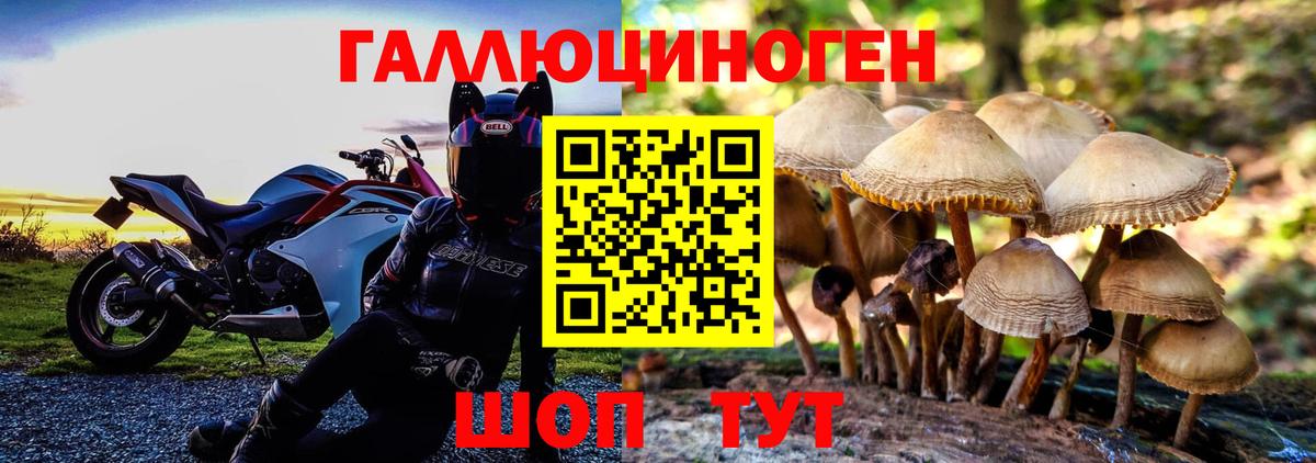 Галлюциногенные грибы Psilocybine cubensis  Вход с VPN  Касимов  Псилоцибиновые грибы прущие грибы 
